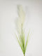 Pampas gras 80cm met blad creme