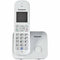 Panasonic KX-TG6811GS parel zilver