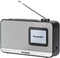 Panasonic Rf-d15eg-k Digitale Radio Zilver