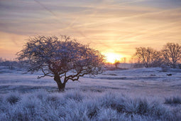 Customize it - Tuinschilderij winter wonderl 70x50