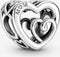 Pandora Bedel Verstrengelde Harten 790800C00