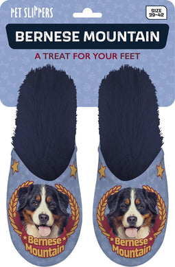 Pantoffel Berner Sennen Hond 39-42