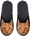 Pantoffel Rode Kat 39-42