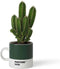 Pantone Espressobeker - Bone China - 120 ml - Dark Green 3435 C