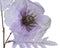 Papaver polyester l13b19h76 cm lila