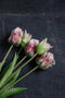 Papegaai tulp - 40cm - roze - 5 stelen - kunst tulpen - tulpenboeket - nep tulp - tulpen boeket - tulpen die net echt lijken