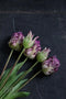 Papegaai tulpenboeket - kunst tulpen - 40cm - 5 stelen - paars- nep tulpen - kunst boeket - kunstbloemen - nep tulpen