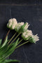 Papegaai tulpenboeket - kunstbloemen - 40cm - 5 stelen - wit - tulp - papegaai tulpen