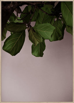 Paper Collective - Poster - Norm architects - Groene Bladeren - 30x40cm - excl. kader