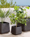 PARIKIA - Plantenbak - Zwart - 28 cm - Polyresin