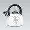 PARIS MAISON MAESTRO MR-1324 non-electric kettle