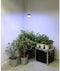 Parus by Venso E27 Kweeklamp