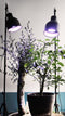 Parus by Venso E27 Kweeklamp