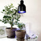 Parus by Venso E27 Kweeklamp