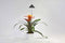 Parus by Venso Sunlite Kweeklamp - 7 W - Grijs