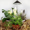 Parus by Venso Sunlite Kweeklamp - 7 W - Grijs