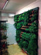 Parus Linear langwerpige kweeklamp led living wall 120 graden 30w 9...