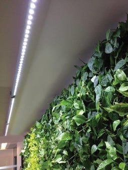 Parus Linear langwerpige kweeklamp led wit 60 graden 75w 120cm