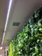 Parus Linear langwerpige kweeklamp led wit 60 graden 90w 150cmBTT