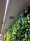 PARUS, Linear-Spot-LED 60cm , 60°, 30Watt