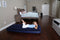 Pavillo 1-Persoons Luchtbed - 185 x 76 cm - Dikte 22 cm