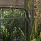 PawHut Puppy-outlet voor puppyren individueel ontworpen metaal zwart D06-107V01