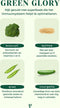 Pawr Plantaardig Green Glory - Hondenvoer - Broccoli Erwt Courgette 750 g Glutenvrij - Sojavrij