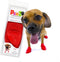 Pawz Rubber Dog Boots - Hondenschoen - Oranje Small