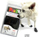 Pawz Rubber Dog Boots Zwart - Hondenschoen - Medium