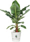 Elho Greenville Rond 40 - Grote Bloempot met Waterreservoir - 100% Gerecycled Plastic - Ø 39 x H 36.8 cm - Wit