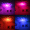 Swiftvein Astronaut - Sterren Projector - 8 kleurencombinaties met afstandsbediening - Wit