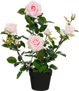 Mica Decorations Roos in pot - Kustplant - 45 x 35 x 62 cm - Roze
