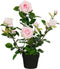 Mica Decorations Roos in pot - Kustplant - 45 x 35 x 62 cm - Roze