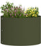 vidaXL - Tuinplant - Olijf - Groen - 30x30x20 - cm - Staal