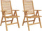 vidaXL - Tuinstoelen - 2 - stuks - Massief - Teakhout