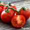 Tomatenzaden Pakket - 13 Soorten - Tomaten Zaden - Groentezaden - Tomaten - Moestuinzaden - Tomatenplant - Moestuin Pakket - Tomaat - Tomatenzaden - Organifer
