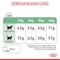 Royal Canin Digestive Care - Kattenvoer - 4 kg