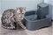 PetSafe Drinkwell® 1.8L Drinkfontein - Vrijvallende waterstroom - Verstelbare stroomsnelheid - Multi