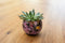 TS Collection - Bloempot Polly pink - 28x25 - Metaal & Epoxy - Exclusieve woonitems voor binnen - Handgemaakt - Unieke print - Designed by Lammie