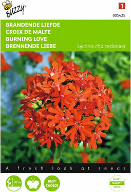 2 stuks - Buzzy - Lychnis chalcedonica Brandende Liefde