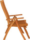 vidaXL - Tuinstoelen - met - voetensteunen - 2 - st - inklapbaar - eucalyptushout