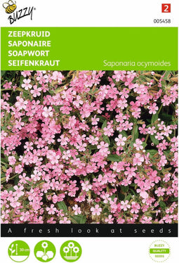 2 stuks - Buzzy - Saponaria ocymoides Zeepkruid Rose