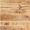 vidaXL - Bartafel - vierkant - 50x50x110 - cm - ruw - mangohout