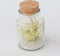 Plant in a Box - Mix van 6 Tillandsia - Luchtplantjes in glazen deco flesje