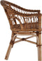 vidaXL - Tuinstoel - natuurlijk - rattan - bruin