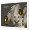 Google Pixel Tablet - Oplaaddock met speaker - 256GB Crème