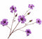 Silk-ka Zijdebloem Kunstbloem Hibiscus Tak Paars 95 cm 140811