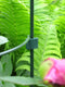 Peacock Standaard koppelstukje 7 mm, 4 stuks