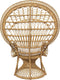 Peacock stoel Takta - Rotan stoel met kussen - Pauwstoel - H150 cm - Pauwelstoel