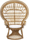 Peacock stoel Takta - Rotan stoel met kussen - Pauwstoel - H150 cm - Pauwelstoel